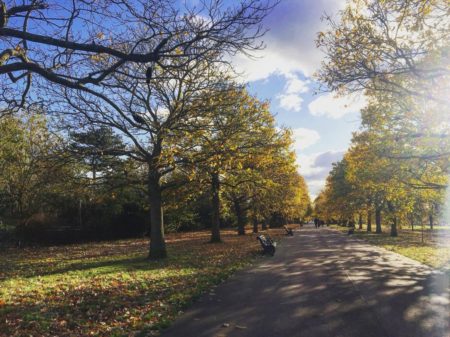 Greenwich park