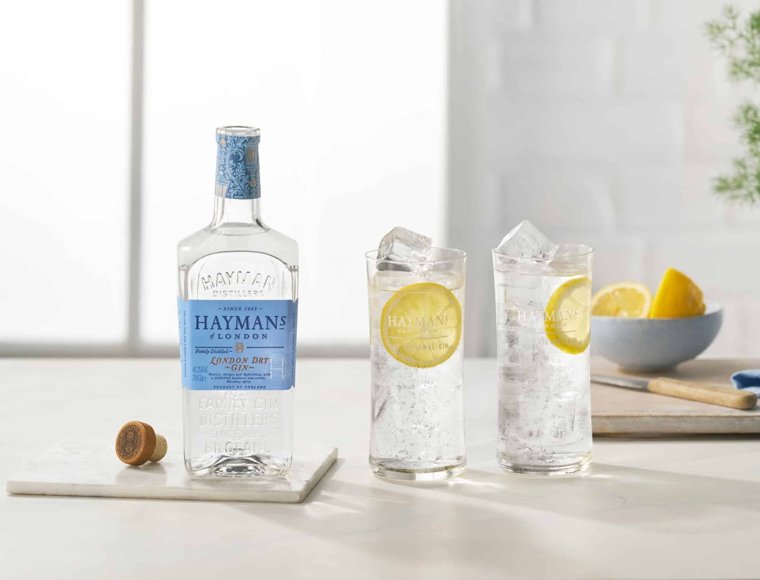 London Dry Gin - Hayman's Gin