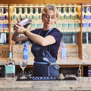 Hayman's Cocktail Masterclass Bartender