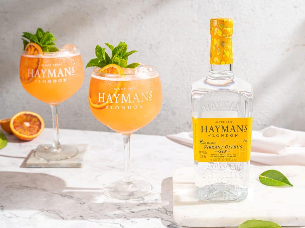 Vibrant Citrus Gin - Image 4